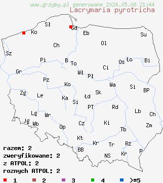 znaleziska Lacrymaria pyrotricha (kruchaweczka pomarańczowa) na terenie Polski