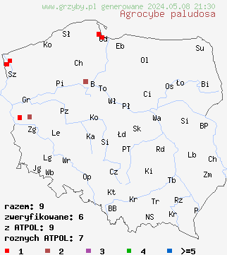 znaleziska Agrocybe paludosa (polówka błotna) na terenie Polski