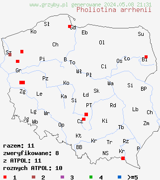 znaleziska Pholiotina arrhenii (stożkówka wąskorozwierkowa) na terenie Polski