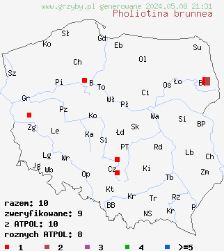 znaleziska Pholiotina brunnea (stożkówka brązowawa) na terenie Polski