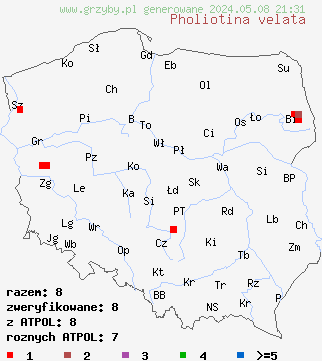 znaleziska Pholiotina velata (stożkówka zimowo-jesienna) na terenie Polski