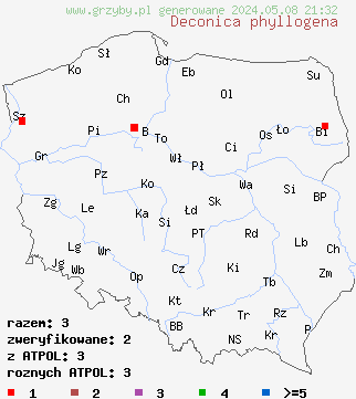znaleziska Deconica phyllogena (łysiczka mitrowatozarodnikowa) na terenie Polski