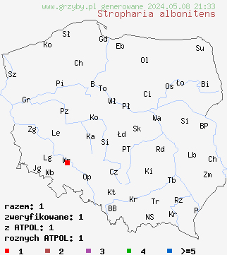 znaleziska Stropharia albonitens (pierścieniak białawy) na terenie Polski