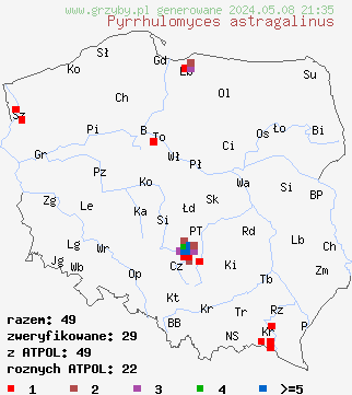 znaleziska Pyrrhulomyces astragalinus (łuskwiak szafranowoczerwony) na terenie Polski