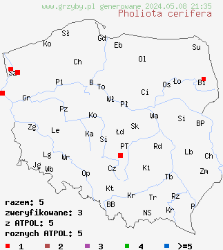 znaleziska Pholiota cerifera (łuskwiak złotawy) na terenie Polski