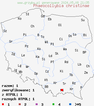 znaleziska Phaeocollybia christinae (korzenianka marcepanowa) na terenie Polski