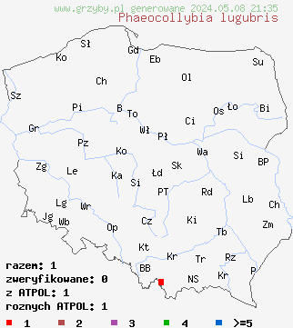 znaleziska Phaeocollybia lugubris (korzenianka okazała) na terenie Polski