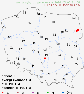 znaleziska Alnicola bohemica (olszóweczka czeska) na terenie Polski