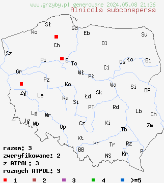 znaleziska Alnicola subconspersa (olszóweczka łuseczkowata) na terenie Polski