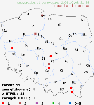 znaleziska Tubaria dispersa (trąbka żółtoblaszkowa) na terenie Polski