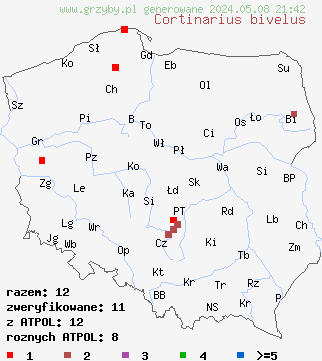 znaleziska Cortinarius bivelus (zasłonak dwuosłonowy) na terenie Polski