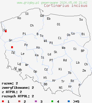 znaleziska Cortinarius incisus (zasłonak porysowany) na terenie Polski