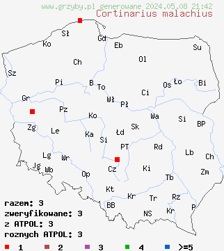 znaleziska Cortinarius malachius (zasłonak malachitowy) na terenie Polski