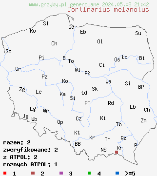 znaleziska Cortinarius melanotus (zasłonak ciemny) na terenie Polski