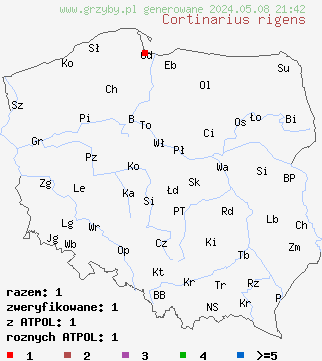 znaleziska Cortinarius rigens (zasłonak sztywny) na terenie Polski