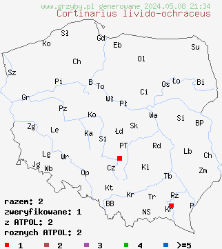 znaleziska Cortinarius livido-ochraceus (zasłonak wyniosły) na terenie Polski