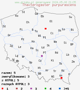 znaleziska Thaxterogaster purpurascens (zasłonak purpurowiejący) na terenie Polski