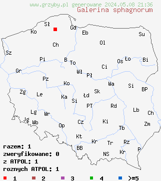 znaleziska Galerina sphagnorum (hełmówka torfowcowa) na terenie Polski