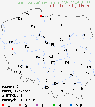 znaleziska Galerina stylifera (hełmówka prążkowana) na terenie Polski