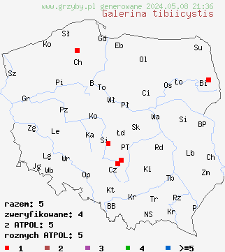 znaleziska Galerina tibiicystis (hełmówka oprószona) na terenie Polski