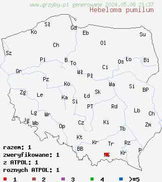 znaleziska Hebeloma pumilum (włośnianka drobniutka) na terenie Polski