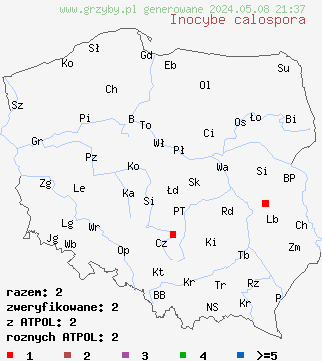 znaleziska Inocybe calospora (strzępiak palczastozarodnikowy) na terenie Polski