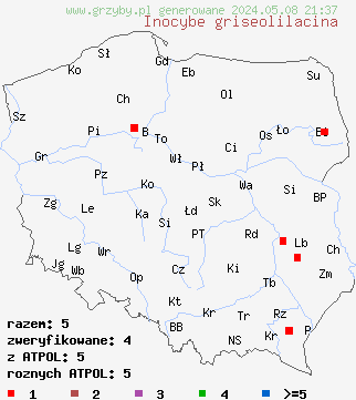 znaleziska Inocybe griseolilacina (strzępiak szaroliliowy) na terenie Polski