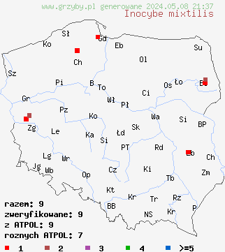 znaleziska Inocybe mixtilis (strzępiak jasnobrzegi) na terenie Polski