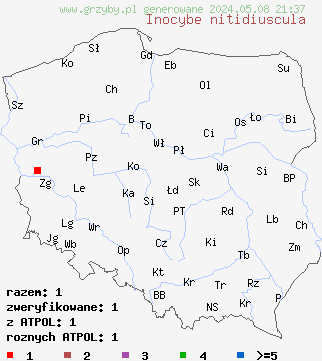 znaleziska Inocybe nitidiuscula (strzępiak późny) na terenie Polski