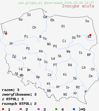 znaleziska Inocybe acuta (strzępiak ostry) na terenie Polski
