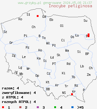 znaleziska Inocybe petiginosa (strzępiak malutki) na terenie Polski