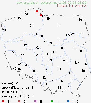 znaleziska Russula aurea (gołąbek złotawy) na terenie Polski