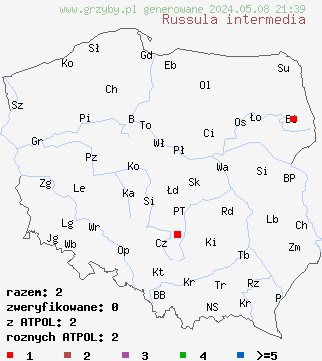 znaleziska Russula intermedia (gołąbek czerwonopomarańczowy) na terenie Polski