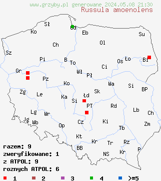 znaleziska Russula amoenolens (gołąbek przyjemny) na terenie Polski