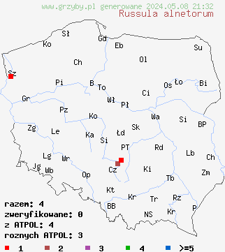 znaleziska Russula alnetorum (gołąbek olszowy) na terenie Polski