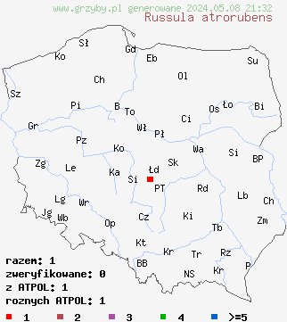 znaleziska Russula atrorubens (gołąbek czarnoczerwony) na terenie Polski