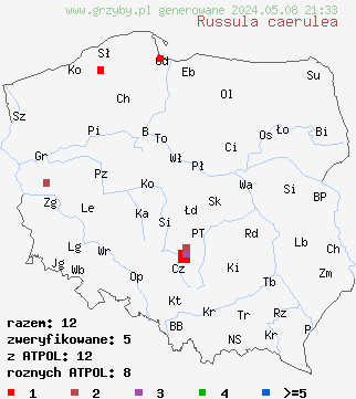 znaleziska Russula caerulea (gołąbek błękitny) na terenie Polski
