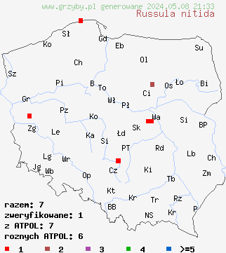 znaleziska Russula nitida (gołąbek lśniący) na terenie Polski