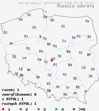 znaleziska Russula odorata (gołąbek wonny) na terenie Polski