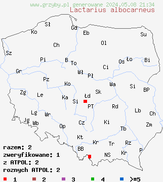 znaleziska Lactarius albocarneus (mleczaj lśniący) na terenie Polski
