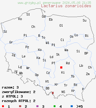 znaleziska Lactarius zonarioides (mleczaj strefowany) na terenie Polski