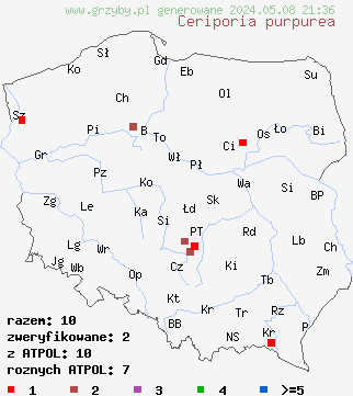 znaleziska Ceriporia purpurea (woszczynka purpurowa) na terenie Polski