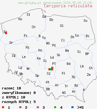 znaleziska Ceriporia reticulata (woszczynka siateczkowata) na terenie Polski