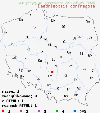 znaleziska Daedaleopsis confragosa (gmatwica chropowata) na terenie Polski