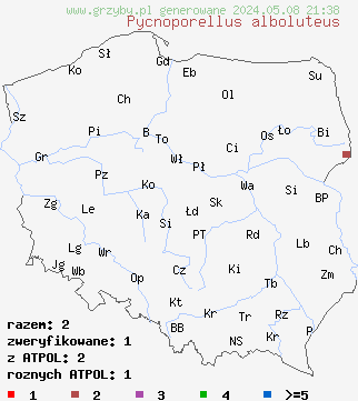znaleziska Pycnoporellus alboluteus (pomarańczowiec bladożółty) na terenie Polski