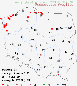 znaleziska Fuscopostia fragilis (rdzawoporek kruchy) na terenie Polski
