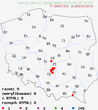 znaleziska Trametes pubescens (wrośniak miękkowłosy) na terenie Polski