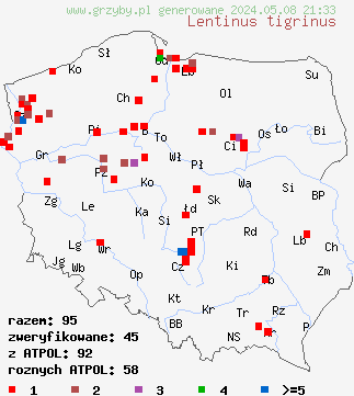 znaleziska Lentinus tigrinus (twardziak tygrysi) na terenie Polski