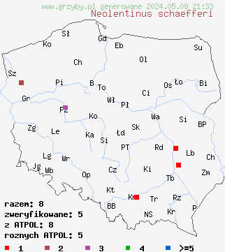 znaleziska Neolentinus schaefferi (twardoskórzak pucharowaty) na terenie Polski