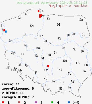znaleziska Amyloporia xantha (jamkoporka żółta) na terenie Polski